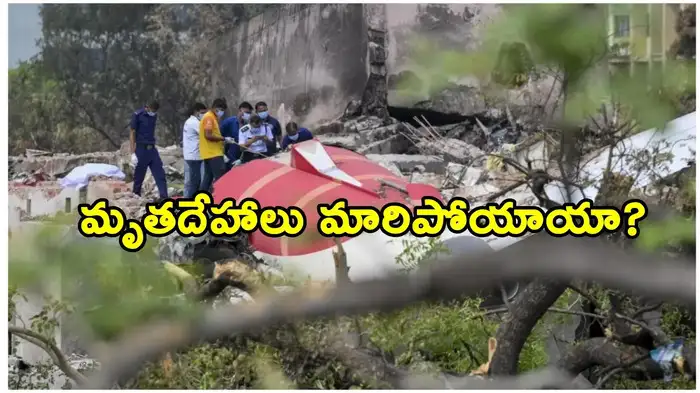 the central government responded to the allegations of the desecration of dead bodies