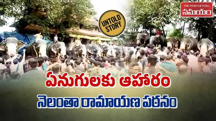 the festival of feeding elephants what lesson does keralas shravana month teach