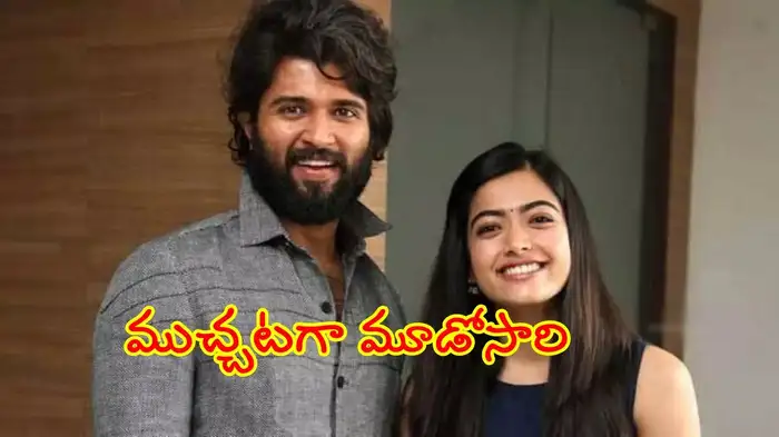 vijay   rashmika pair to repeat what more do fans want