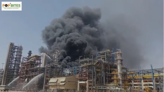 vijay makes final appeal for tvk whistle symbol in tamil nadu polls