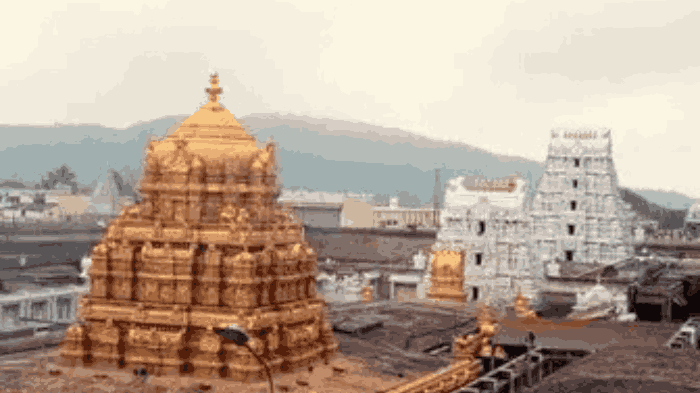 moderate devotee rush in tirumala 10 hour wait for darshan