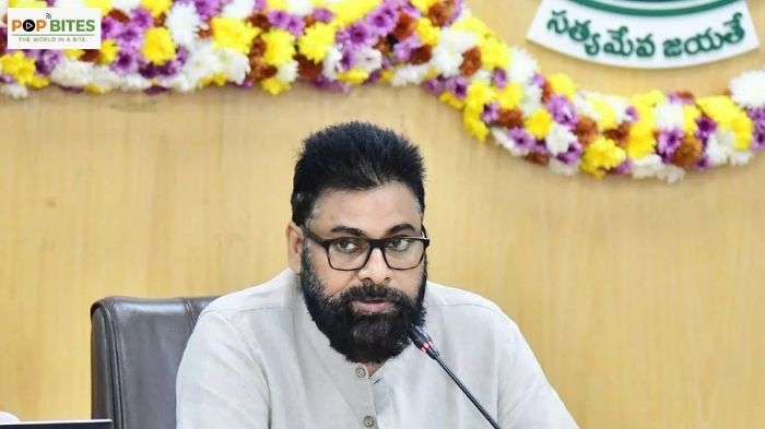 imo ceo responds to international shipping crisis amid global supply chain challenges